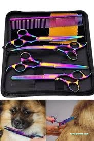 Pet Kuaför | Petzzkuaför Kedi Köpek Kuaförü