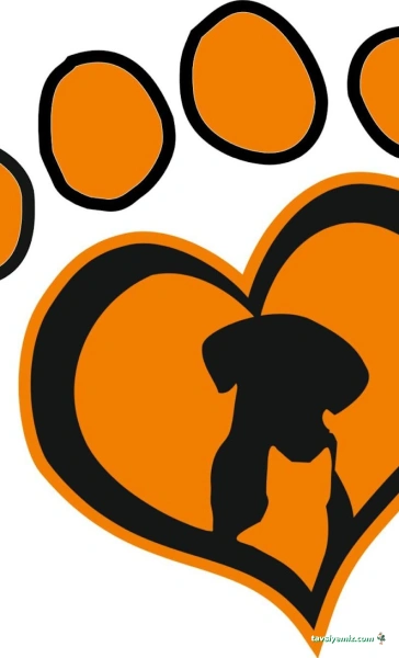 Pet Love Veteriner Kliniği