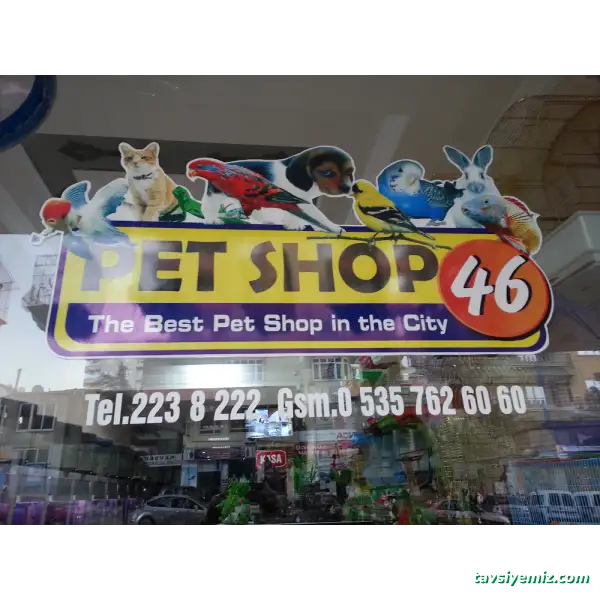 Pet Shop 46