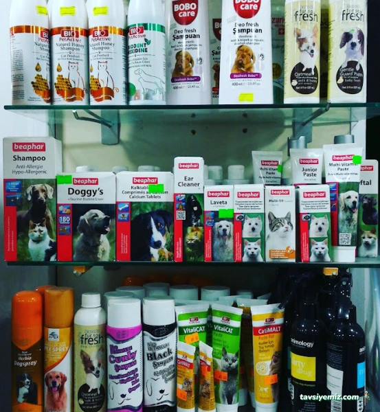 Pet Store Istanbul