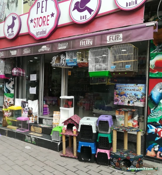 Pet Store Istanbul