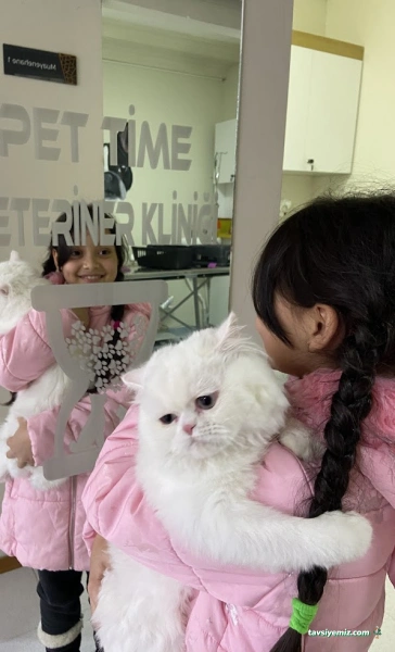 Pet Time Veteriner Kliniği