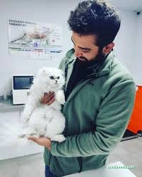 Pet412 Veteriner Kliniği