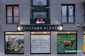 Pet412 Veteriner Kliniği