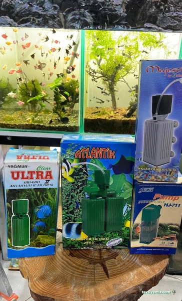 Pet48 - Petshop Marmaris