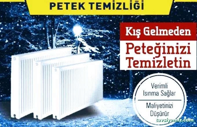 Petek@Baca Temizleme