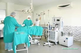 Petical Hayvan Hastanesi