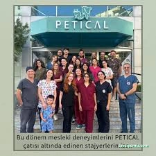 Petical Hayvan Hastanesi