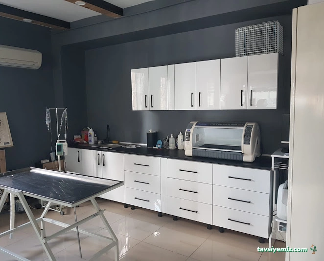 Petkey Veteriner Kliniği