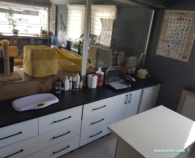 Petkey Veteriner Kliniği