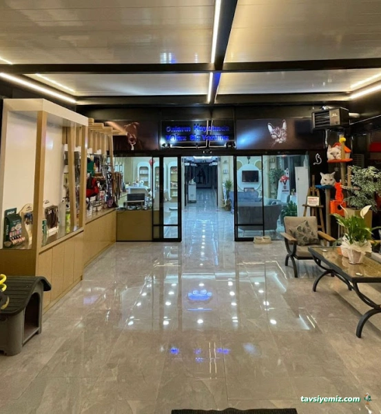 Petland Veteriner Kliniği