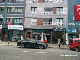 Petopia Veteriner Kliniği- Veterinary Clinic