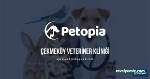 Petopia Veteriner Kliniği- Veterinary Clinic