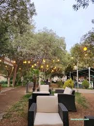 Petrol Cafe T.p.a.o Site Şubesi