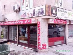 Petshop