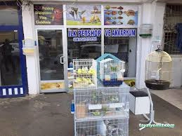 Petshop