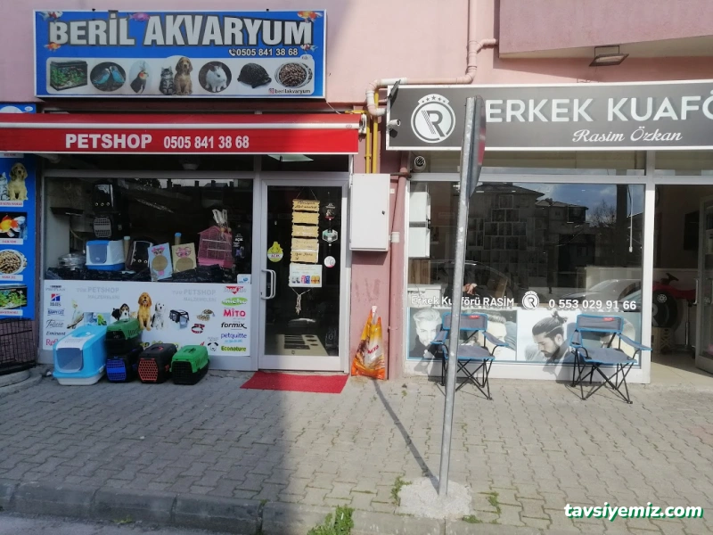 Petshop Beril Akvaryum