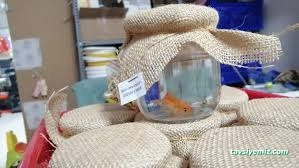 Petshop Beril Akvaryum Bolu