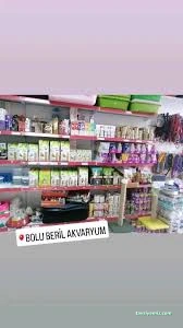 Petshop Beril Akvaryum Bolu