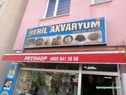 Petshop Beril Akvaryum Bolu