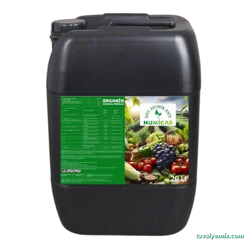 Phoenıx Mınıng Industry And Foreıgn Trade Lımıted Company