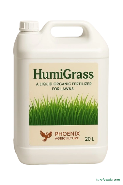 Phoenıx Mınıng Industry And Foreıgn Trade Lımıted Company