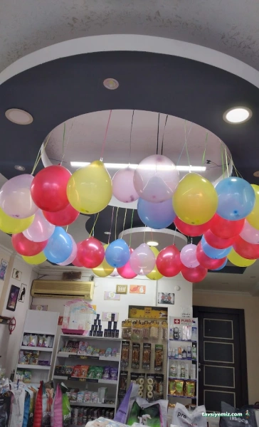 Pıtırcık Pet Shop