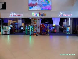 Playpark Artrium Avm