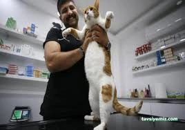 Podo Vet Veteriner Kliniği