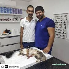 Podo Vet Veteriner Kliniği