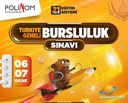 Polinom Eğitim Kurumları
