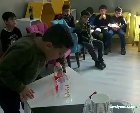 Polinom Eğitim Kurumları