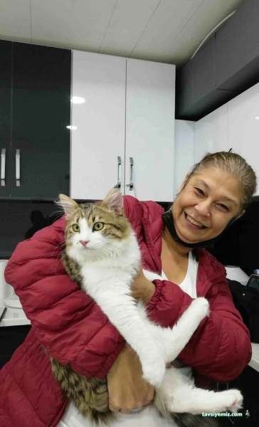 Poseidon Veteriner Kliniği