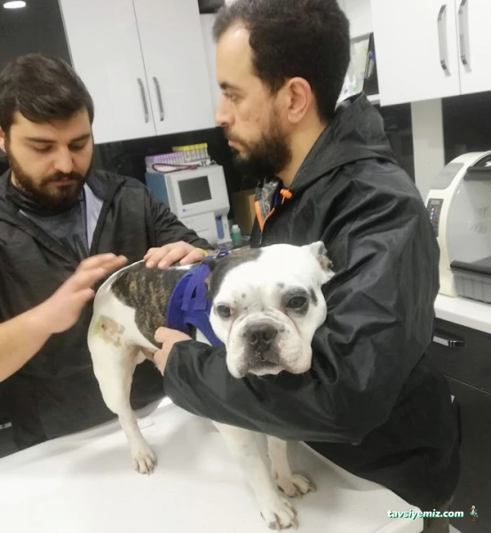 Poseidon Veteriner Kliniği