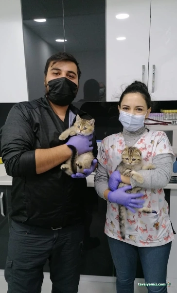 Poseidon Veteriner Kliniği