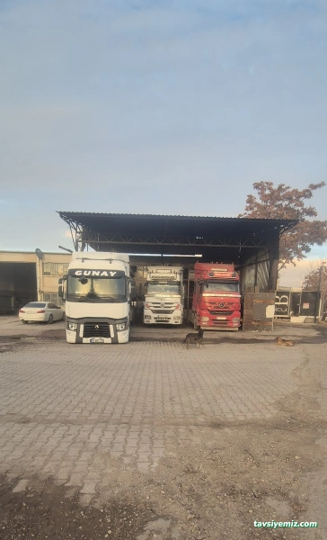 Profesyonel Oto Fren Test Ve Fren Tamiri (Hüseyin Şimşek)