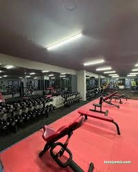 Proforce Gym Fitness