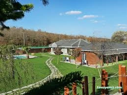 Proteo K9 Akademi | Pet Otel