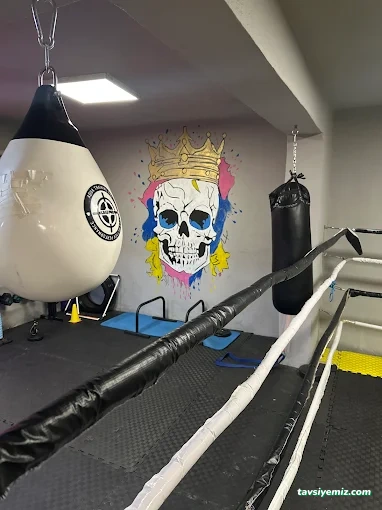 Ptstudio Fitness-Boks-Crossfit