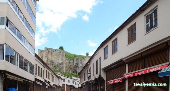 Pürmüslü Sobacılık