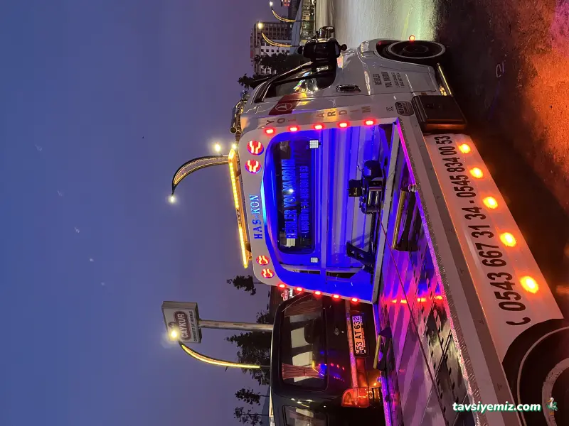 Reisler Oto Kurtarıcı