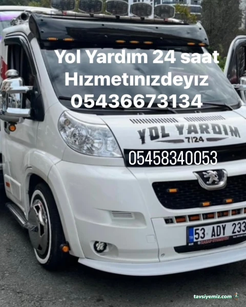 Reisler Oto Kurtarıcı