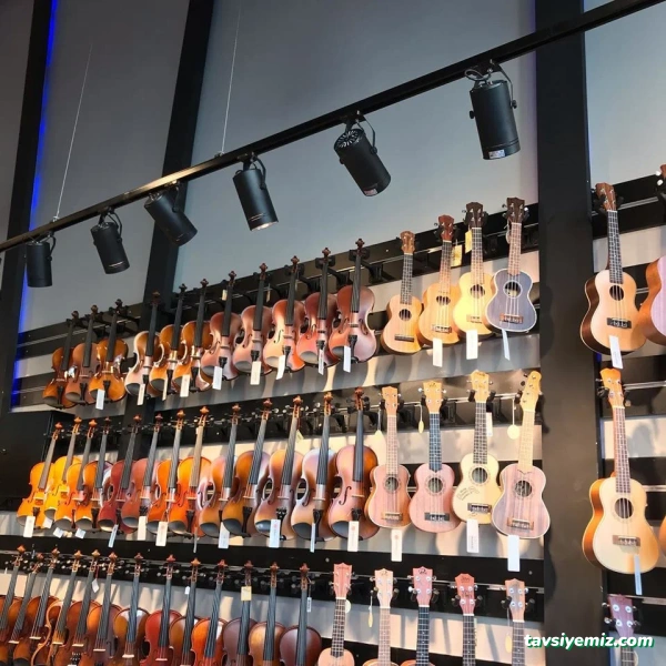 Rekor Müzik Nilüfer