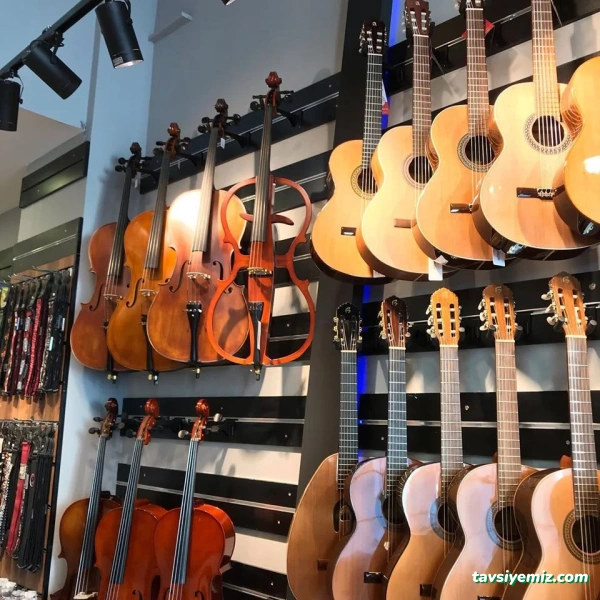 Rekor Müzik Nilüfer