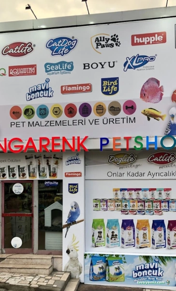 Rengarenk Pet Malzemeleri