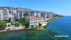 Rıza Nur Kütüphanesi