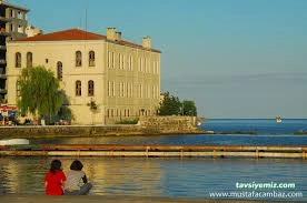 Rıza Nur Kütüphanesi