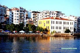 Rıza Nur Kütüphanesi