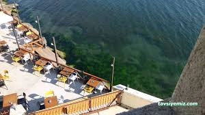 Rıza Nur Kütüphanesi