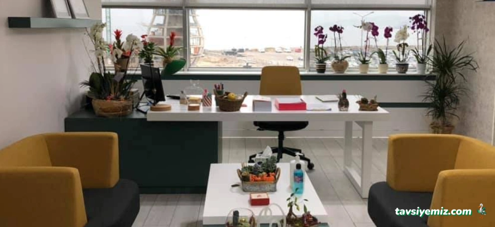 Rize İz Beslenme & Psikoloji Danışmanlık Merkezi